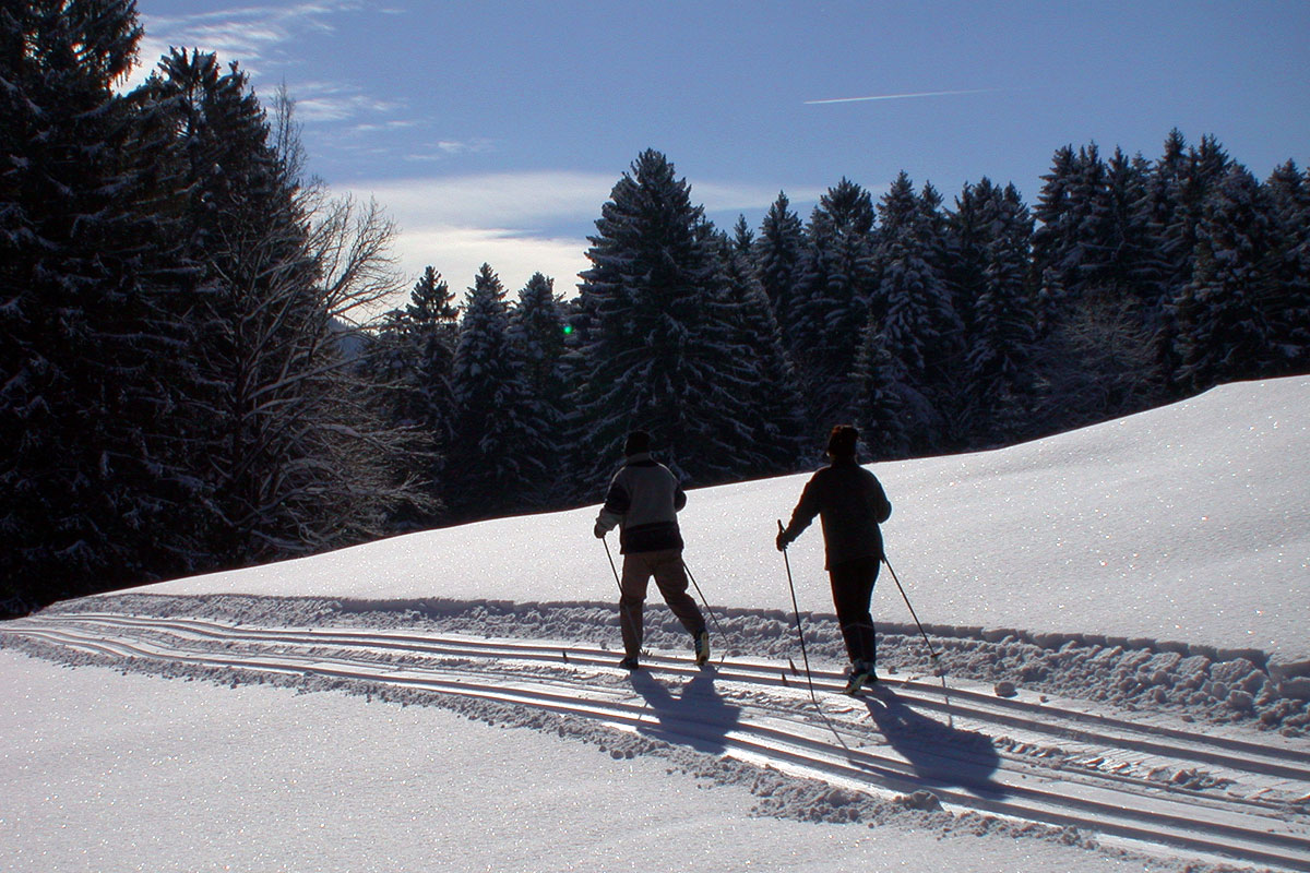 Skilanglauf am Samerberg